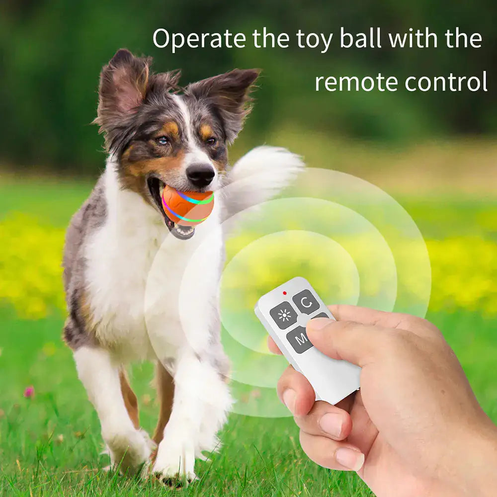 Interactive Pet Smart Ball Toy